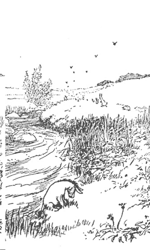Eeyore