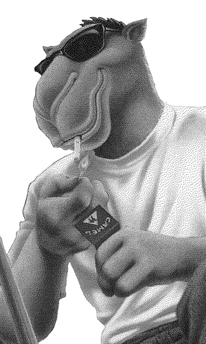 Joe Camel