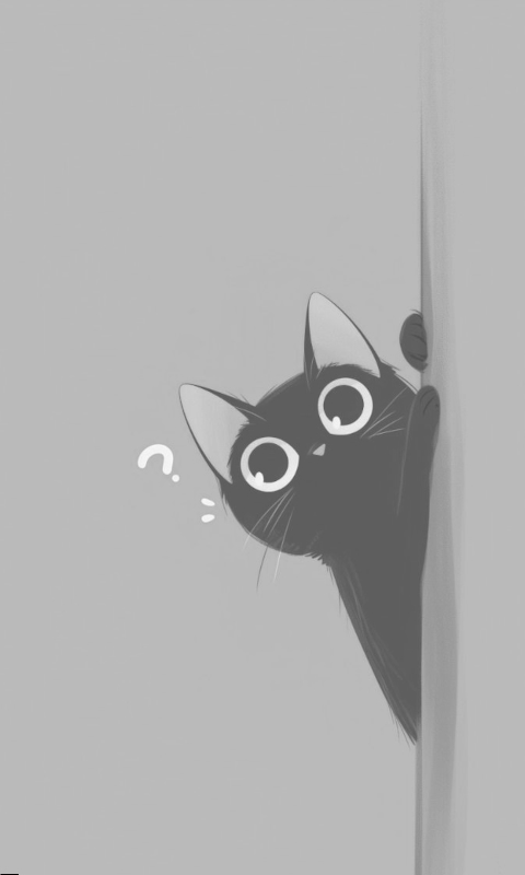 Cat_5