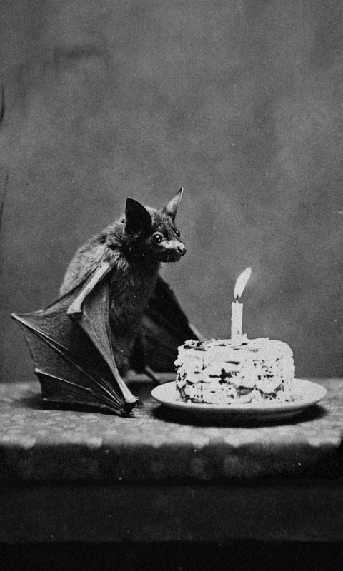 Birthday boy