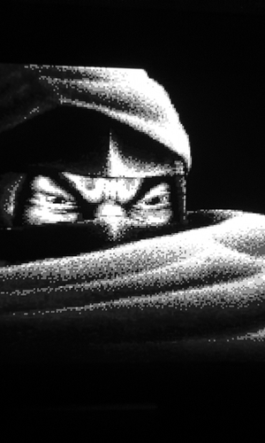 Last Ninja 3 eyes Amiga