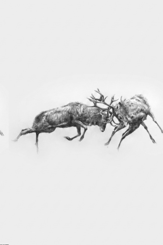 Stags