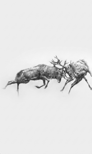 Stags