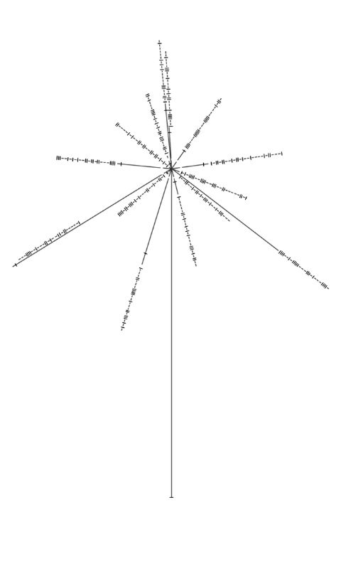 Pulsar