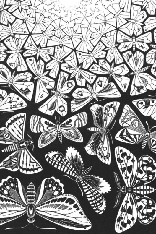 Butterflies - Escher