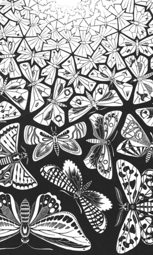 Butterflies - Escher