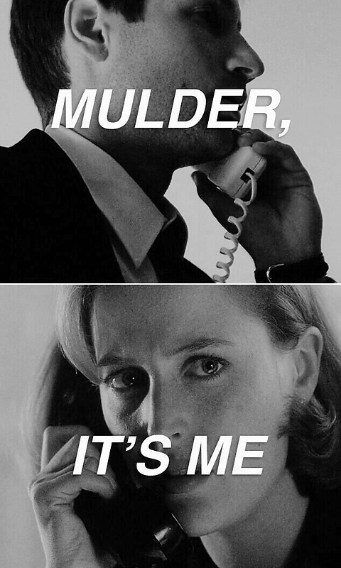 Mulder It's Me