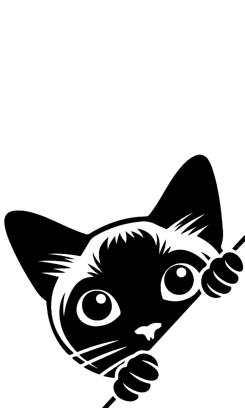 Wallpaper