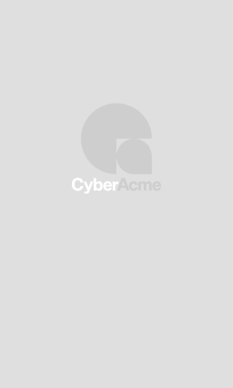 CyberAcme