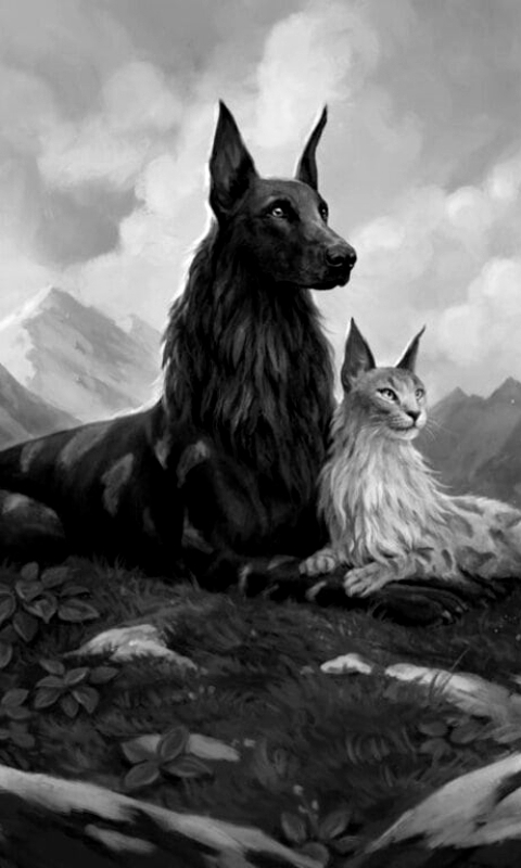 Rin & Seri, Inseperable