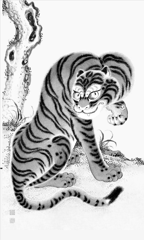 Japanese Tiger
