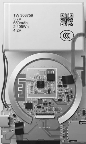 X4 Xray | Transparent