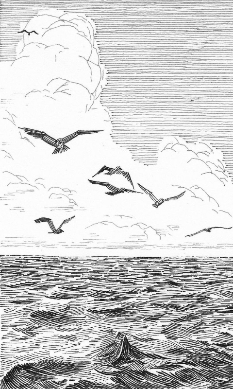 Sea