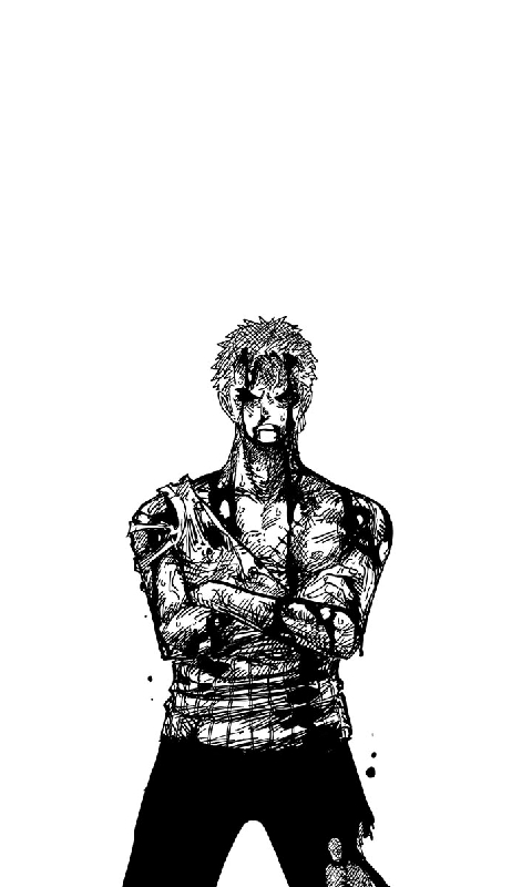 zoro // one piece