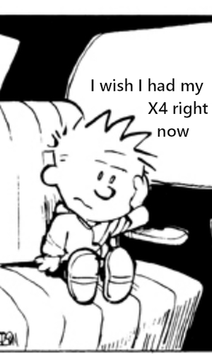 Calvin Wishes