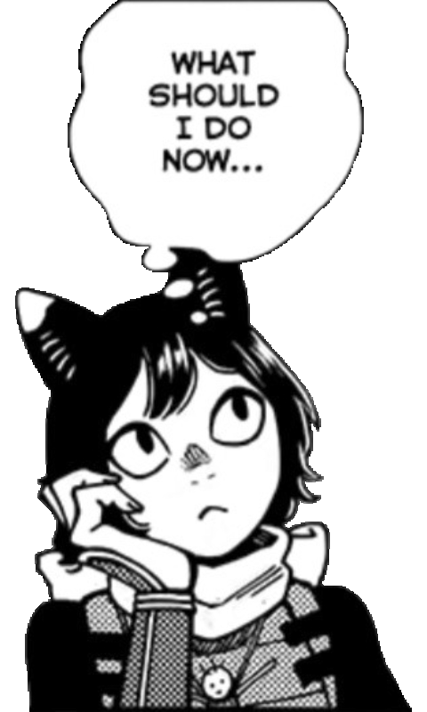 what should i do now?