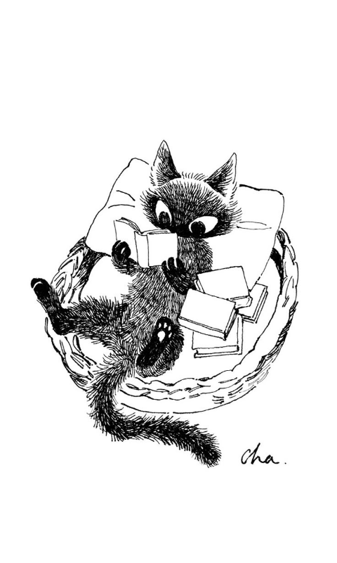 Cat reading books