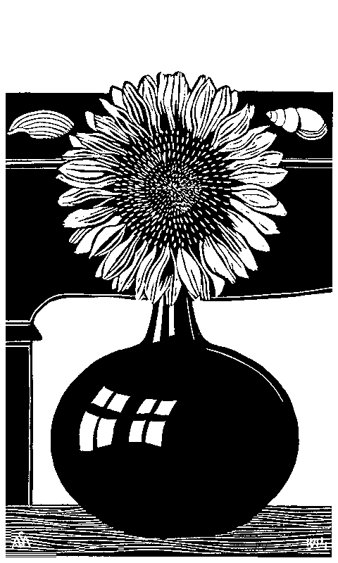 Sunflower (darker)