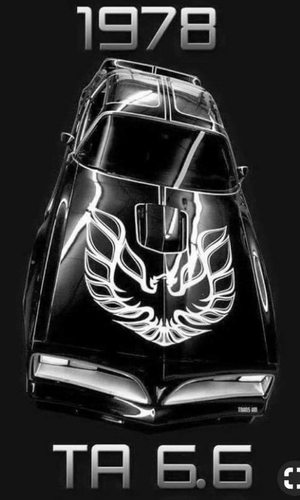 78 Pontiac Transam
