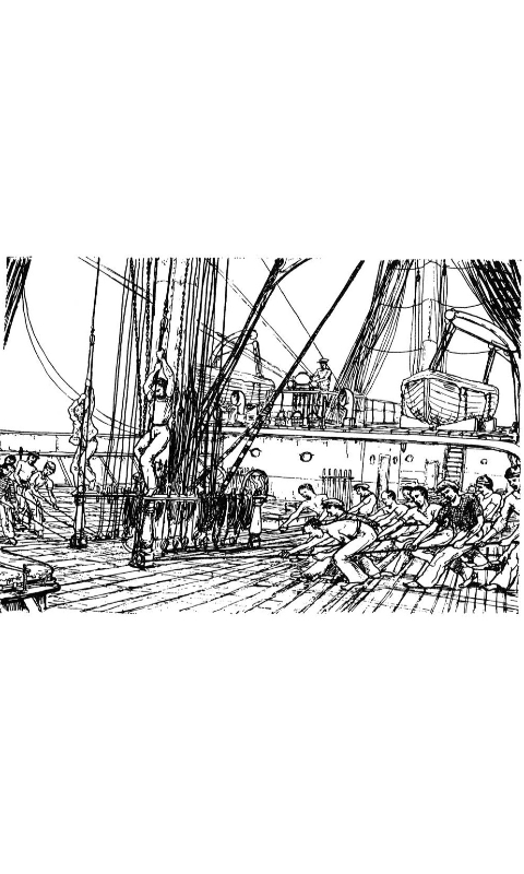 Shanties #15