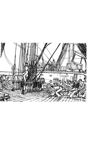 Shanties #15