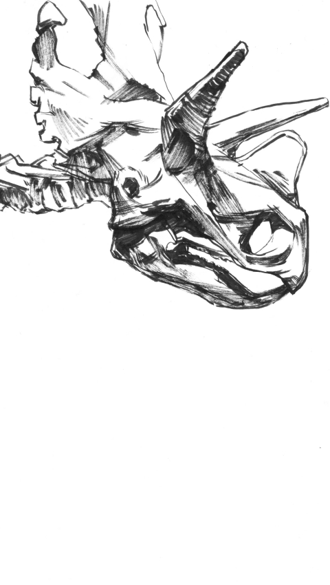 DinoROM