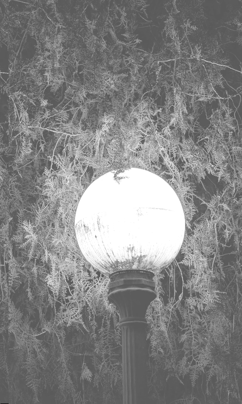 Light