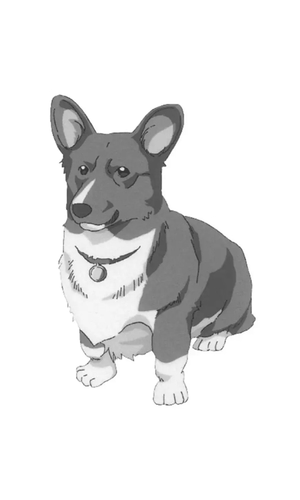 Corgi 