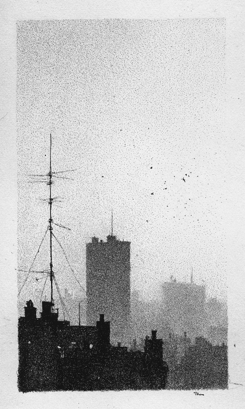 buildings in fog