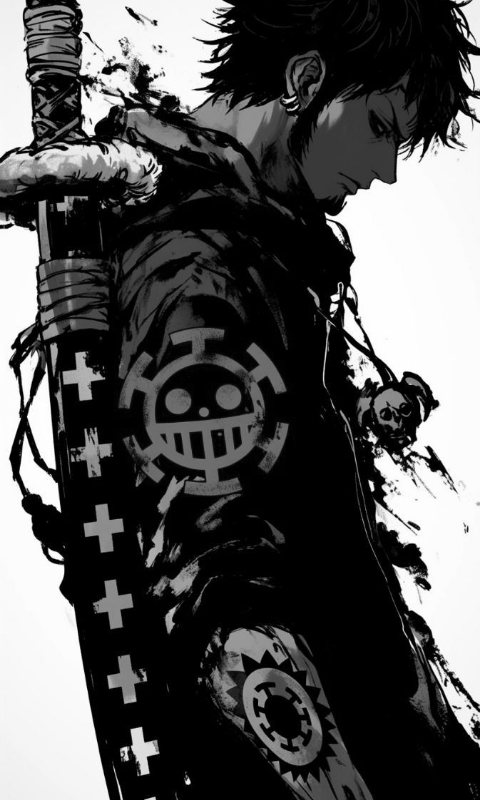 Trafalgar Law with Sword