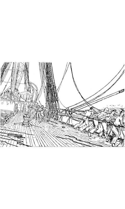 Shanties #03