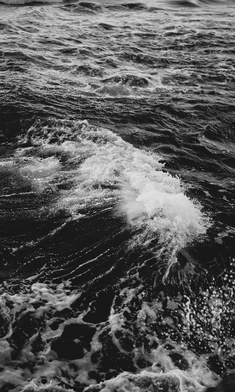 Sea Waves by Archee Lal