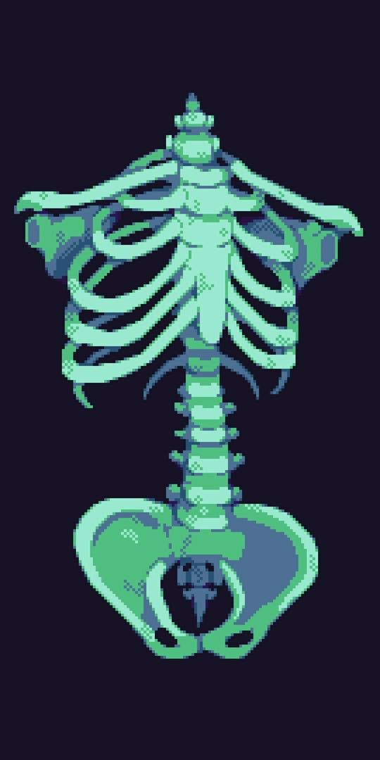 Digital Skeleton