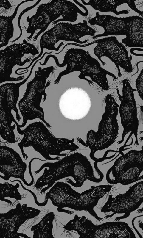 Rat spiral