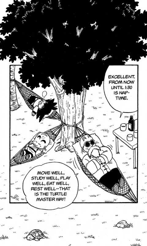 Dragon Ball - Turtle Master Way