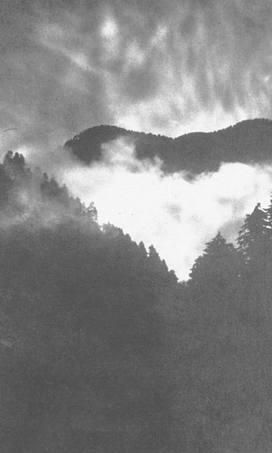 Bald Mountain