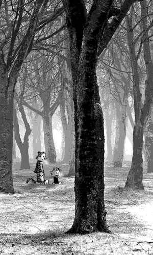 Calvin & Hobbes in the woods