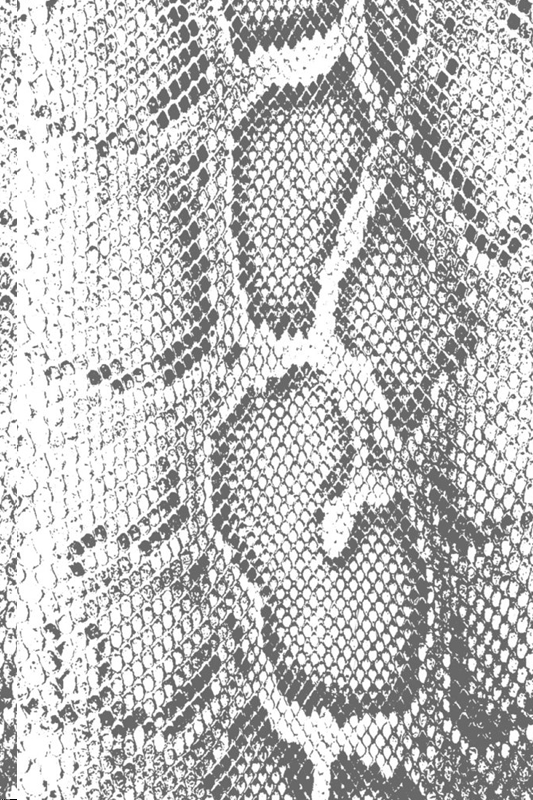 snake skin
