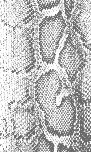 snake skin