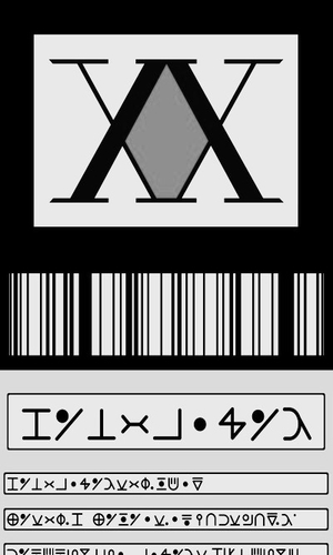 Hunter License (HxH)