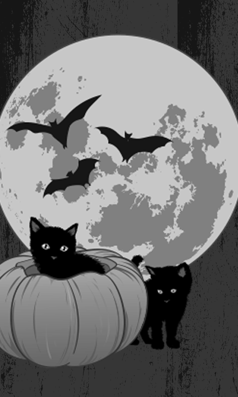 Halloween Cats