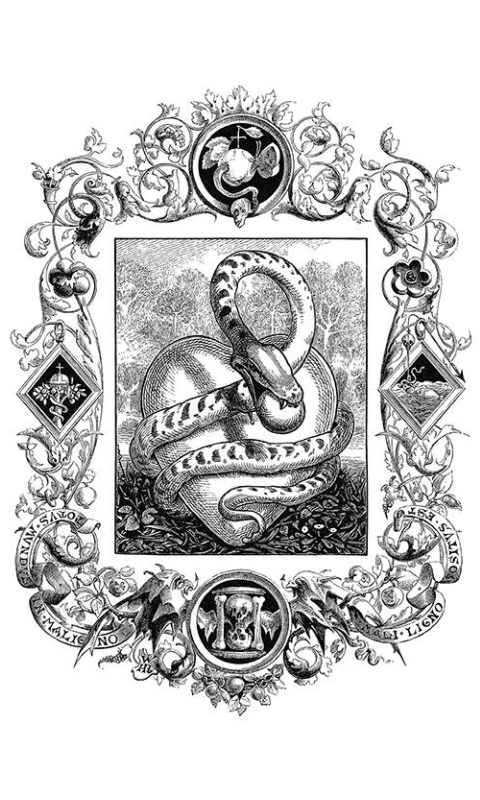 Serpent