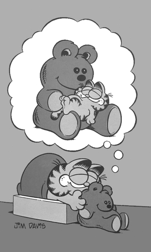 Garfield & Pooky