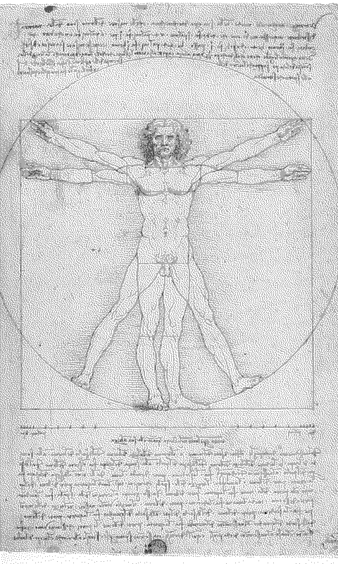 Vitruvian Man
