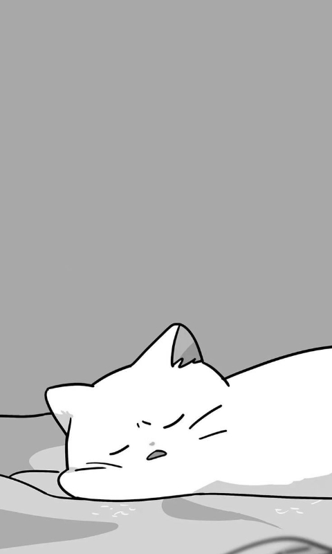 Sleepy Cat
