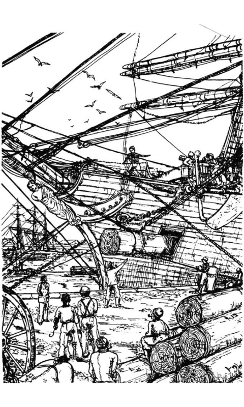 Shanties #04