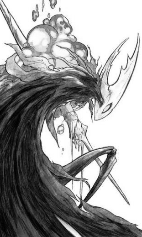 Hollow Knight