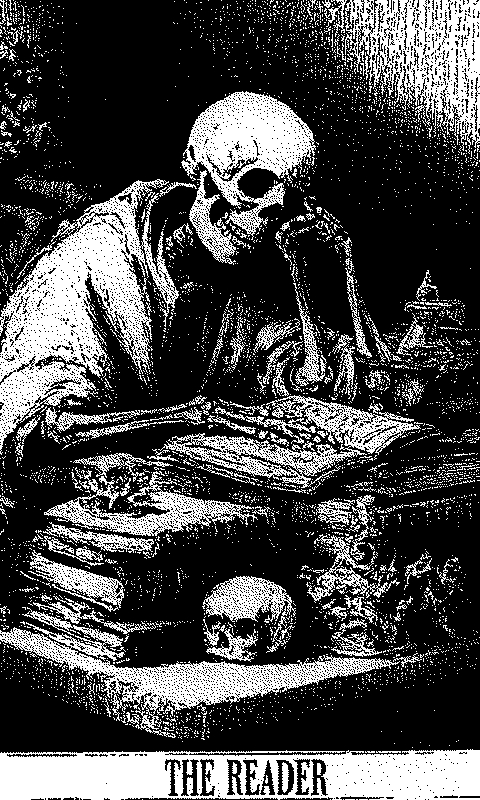 The Reader (Fixed)