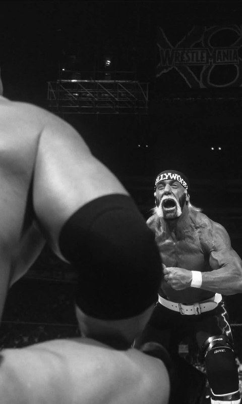 The Rock & Hollywood Hogan