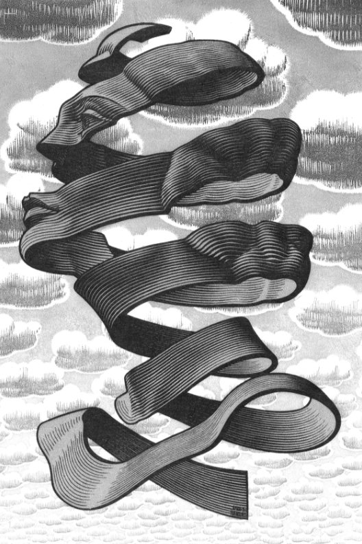 M.C. Escher - Rind